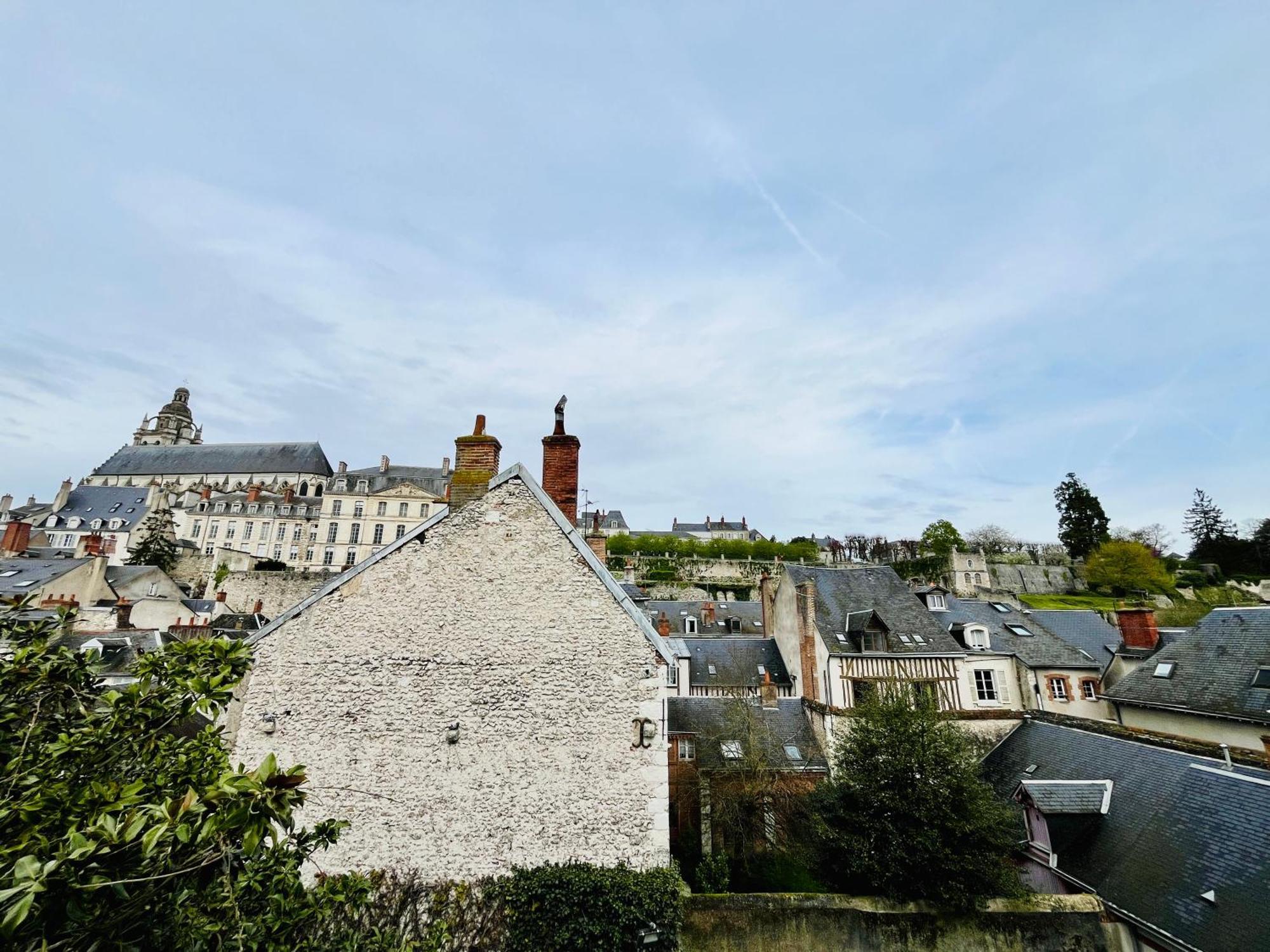 Apartmán Vue Loire, Hypercentre, Spacieux, Familial, Climatise, Le Quai De Loire Blois Exteriér fotografie